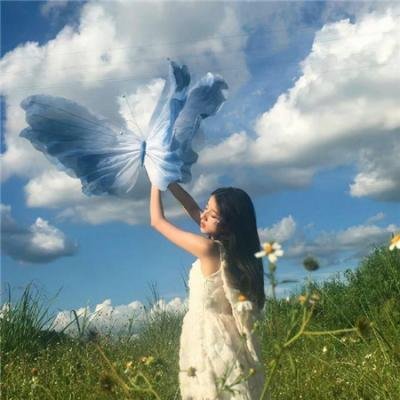 茄子安达鲁西亚之夏 封面